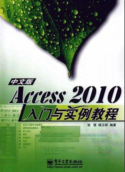 access2010基础教程(努力奋斗的事例)
