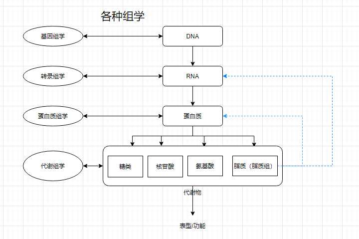 各种组学对应关系概要