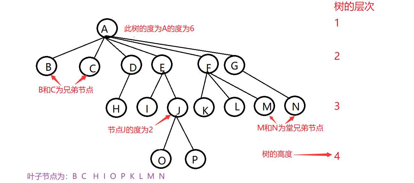 二叉树一定是完全二叉树_完全二叉树概念