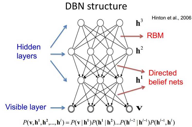 深度信念网络dbn有若干个什么娃网络组成?_深度信念网络是什么