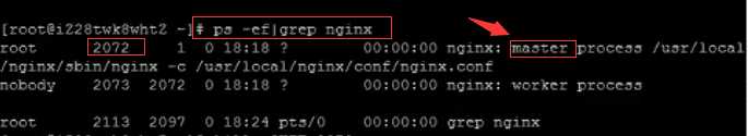 nginx重启命令reload_nginx重启命令reload